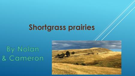 METEOROLOGIST  Precipitation: Precipitation in shortgarss prairies is about 10-25 in. a year. Rainfall varies from year to year.  Temperature: The temperature.