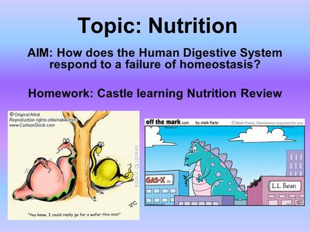 Topic: Nutrition AIM: How does the Human Digestive System respond to a failure of homeostasis? Homework: Castle learning Nutrition Review.