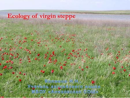Ecology of virgin steppe. Take care of the land, the water, Even a small dust loving, Take care of all the animals inside the nature, Kill only animals.