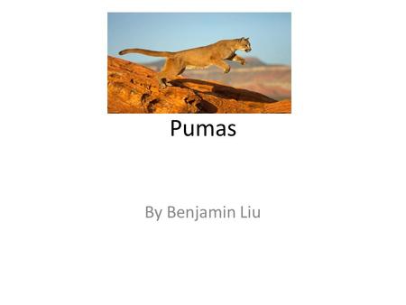 Pumas By Benjamin Liu. Changes of Pumas The pumas habitats is shrinking because people are cutting down trees. People are also killing pumas. Less food.