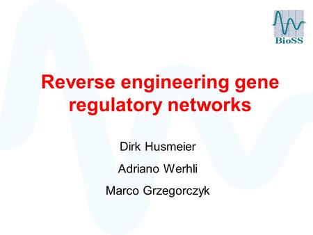 Reverse engineering gene regulatory networks Dirk Husmeier Adriano Werhli Marco Grzegorczyk.
