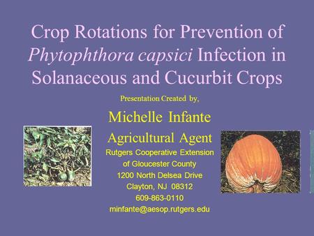 Crop Rotations for Prevention of Phytophthora capsici Infection in Solanaceous and Cucurbit Crops Presentation Created by, Michelle Infante Agricultural.