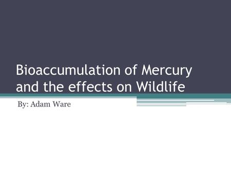 Bioaccumulation of Mercury and the effects on Wildlife By: Adam Ware.