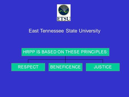 East Tennessee State University. Full Accreditation Association for the Accreditation of Human Research Protection Programs (AAHRPP)