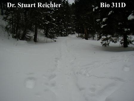 Dr. Stuart Reichler Bio 311D.