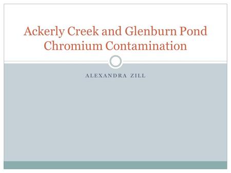 ALEXANDRA ZILL Ackerly Creek and Glenburn Pond Chromium Contamination.