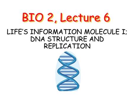 BIO 2, Lecture 6 LIFE’S INFORMATION MOLECULE I; DNA STRUCTURE AND REPLICATION.
