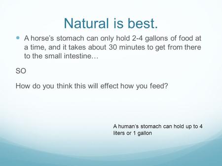 Natural is best. A horse’s stomach can only hold 2-4 gallons of food at a time, and it takes about 30 minutes to get from there to the small intestine…
