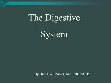 By: Jama Willbanks, MS, NREMT-P The Digestive System.