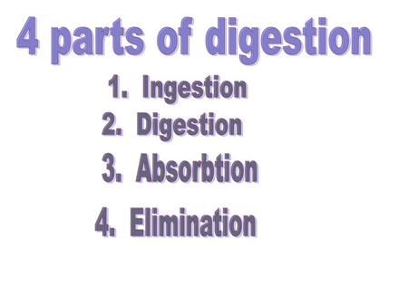 4 parts of digestion 1.  Ingestion 2.  Digestion 3.  Absorbtion