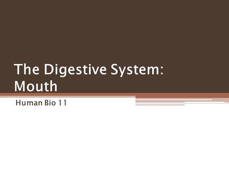 The Digestive System: Mouth Human Bio 11. Mouth Teeth Tongue Salivary Glands and Saliva Enzymes Swallowing and Epiglottis Digestion in the Mouth.