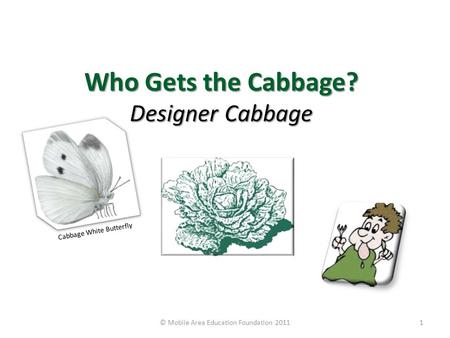 Who Gets the Cabbage? Designer Cabbage © Mobile Area Education Foundation 20111 Cabbage White Butterfly.