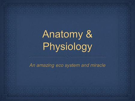 Anatomy & Physiology An amazing eco system and miracle.