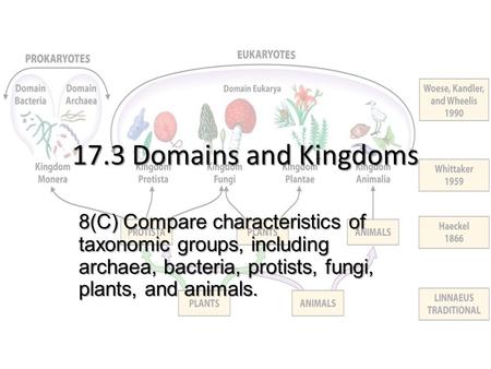 17.3 Domains and Kingdoms 8(C) Compare characteristics of taxonomic groups, including archaea, bacteria, protists, fungi, plants, and animals.