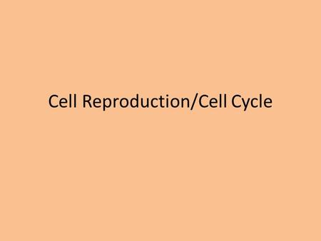 Cell Reproduction/Cell Cycle