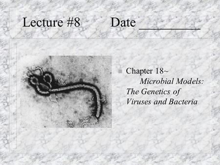 Lecture #8Date _________ n Chapter 18~ Microbial Models: The Genetics of Viruses and Bacteria.