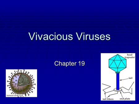 Vivacious Viruses Chapter 19.
