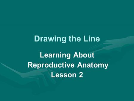 Drawing the Line Learning About Reproductive Anatomy Lesson 2.