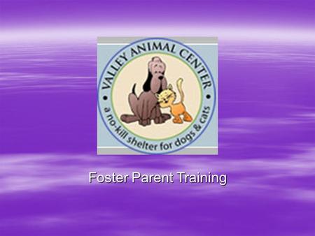 Foster Parent Training. Is This Right for You?  Are you able to get to the shelter quickly to: –Pick up an animal? –Bring it in for care? –Pick up supplies,