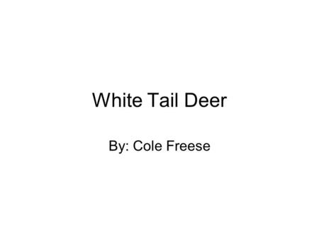White Tail Deer By: Cole Freese. Classification Common name= White-Tail Deer Kingdom= Animalia Phylum= Chordata Class= Mammalia Order= Artiodactyla Family=