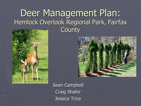 Deer Management Plan: Hemlock Overlook Regional Park, Fairfax County Sean Campbell Craig Shafer Jessica Trice.