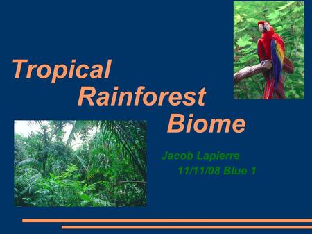 Tropical Rainforest Biome Jacob Lapierre 11/11/08 Blue 1.