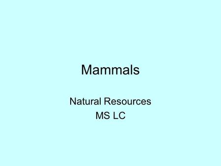 Mammals Natural Resources MS LC. Badger Taxidea taxus.