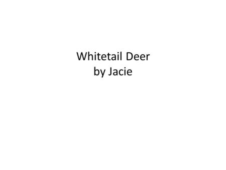 Whitetail Deer by Jacie. Hi my name is Jacie and my animal is the shy and nervous white tail deer.