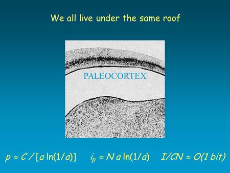 We all live under the same roof PALEOCORTEX p  C / [a ln(1/a)] i p  N a ln(1/a) I/CN  O(1 bit)