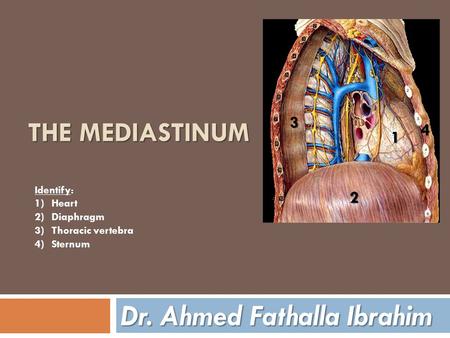 Dr. Ahmed Fathalla Ibrahim