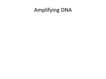Amplifying DNA. The Power of PCR  View the animation at