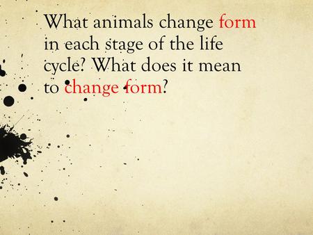 What animals change form in each stage of the life cycle? What does it mean to change form?