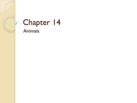 Chapter 14 Animals.