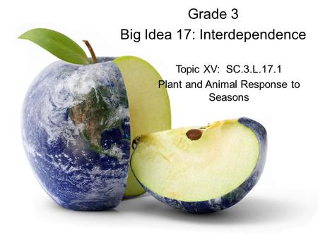 Grade 3 Big Idea 17: Interdependence Topic XV: SC.3.L.17.1 Plant and Animal Response to Seasons.