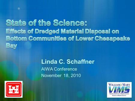 Linda C. Schaffner AIWA Conference November 18, 2010.