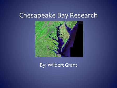 Chesapeake Bay Research By: Wilbert Grant. Why is it important to have a variety of Bay Animals? It is important to have a variety of Bay Animals. The.