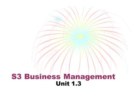 S3 Business Management Unit 1.3.