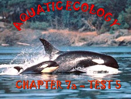 AQUATIC ECOLOGY CHAPTER 7a – TEST 5.