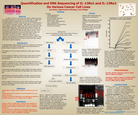 Quantification and DNA Sequencing of IL-13Rα1 and IL-13Rα2 On Various Cancer Cell Lines Erin Dolac, Department of.