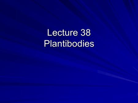 Lecture 38 Plantibodies.