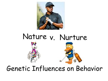 Genetic Influences on Behavior Nature v.Nurture. 2 Nature, Nurture, and Human Diversity SimilaritiesDifferences Genes: Same set of chromosomes Genes: