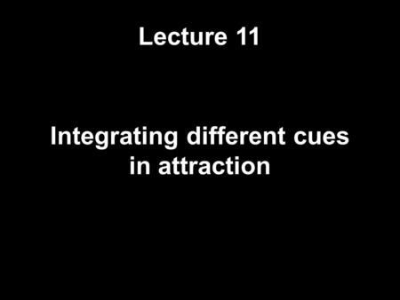 Lecture 11 Integrating different cues in attraction.