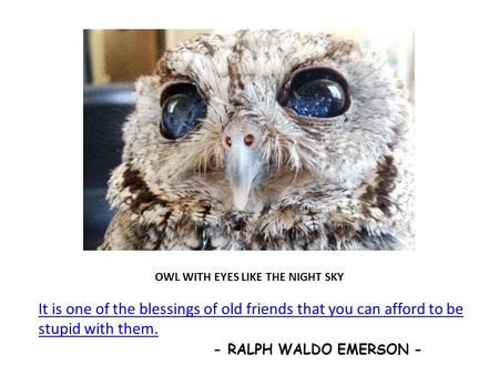 OWL WITH EYES LIKE THE NIGHT SKY It is one of the blessings of old friends that you can afford to be stupid with them. - RALPH WALDO EMERSON -