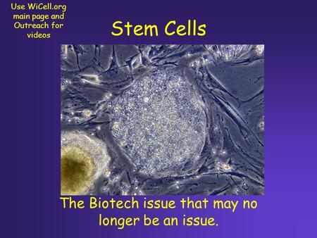 Stem Cells The Biotech issue that may no longer be an issue. Use WiCell.org main page and Outreach for videos.
