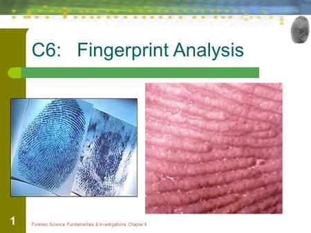 C6: Fingerprint Analysis