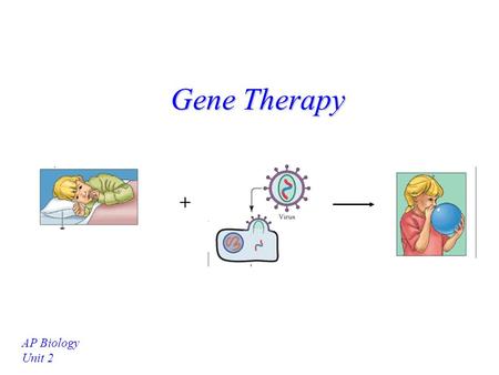 Gene Therapy AP Biology Unit 2 + What is Gene Therapy? A way to treat or cure diseases by inserting the “correct” DNA into the cell. Most promising for.