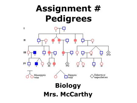 Assignment # Pedigrees