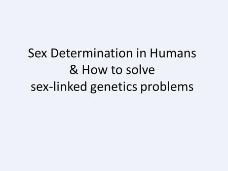 Sex Determination in Humans & How to solve sex-linked genetics problems.