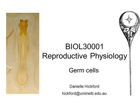 BIOL30001 Reproductive Physiology