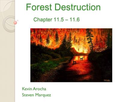 Forest Destruction Chapter 11.5 – 11.6 Forest Destruction Chapter 11.5 – 11.6 Kevin Arocha Steven Marquez.
